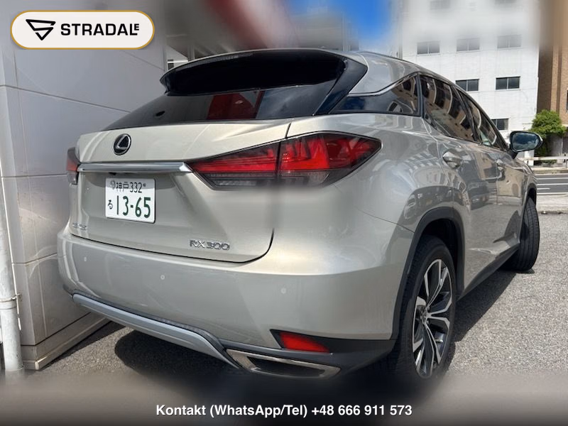 LEXUS RX RX300 VERSION L, miniaturka 11