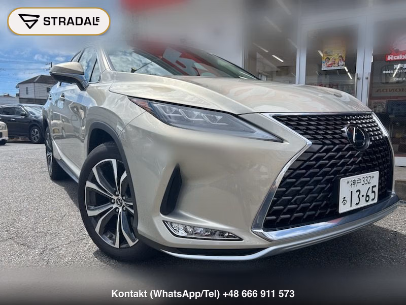 LEXUS RX RX300 VERSION L, miniaturka 10