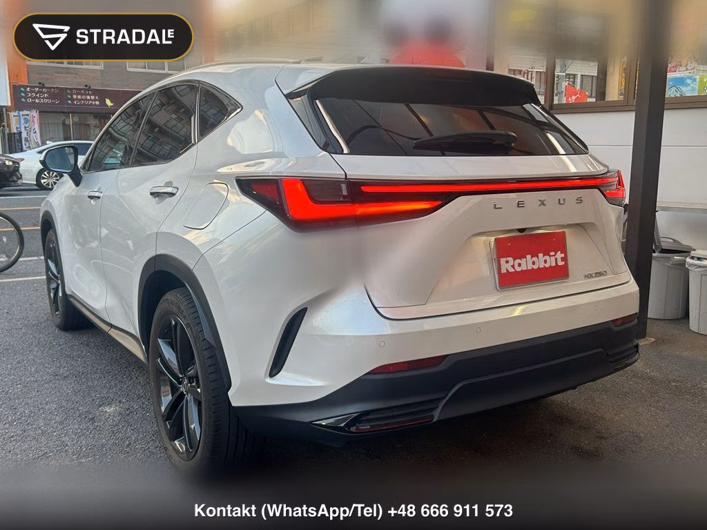 LEXUS NX NX250 VERSION L, miniaturka 11