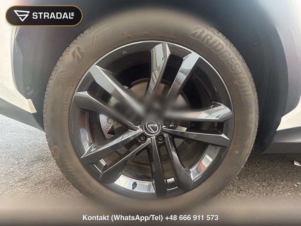 LEXUS NX NX250 VERSION L, miniaturka 12