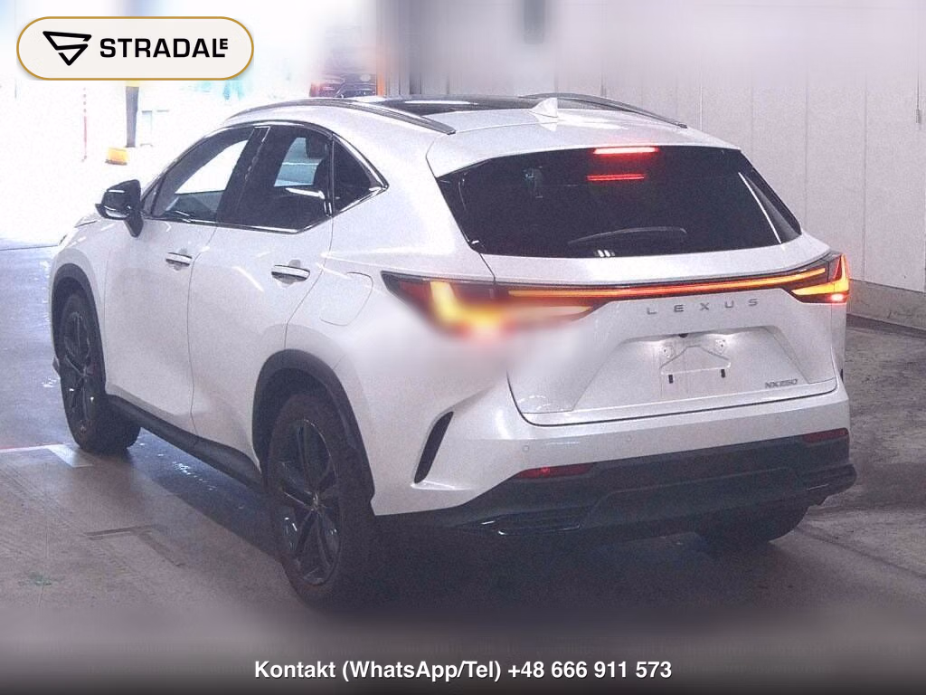 LEXUS NX NX250 VERSION L, miniaturka 3