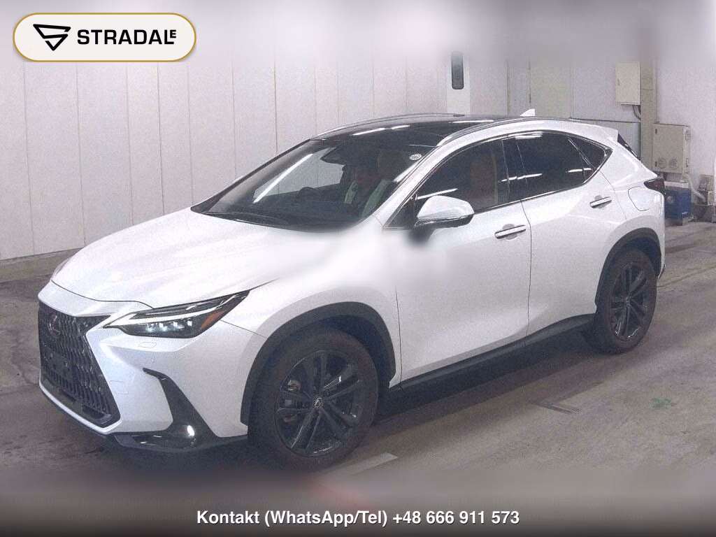 LEXUS NX NX250 VERSION L, miniaturka 5