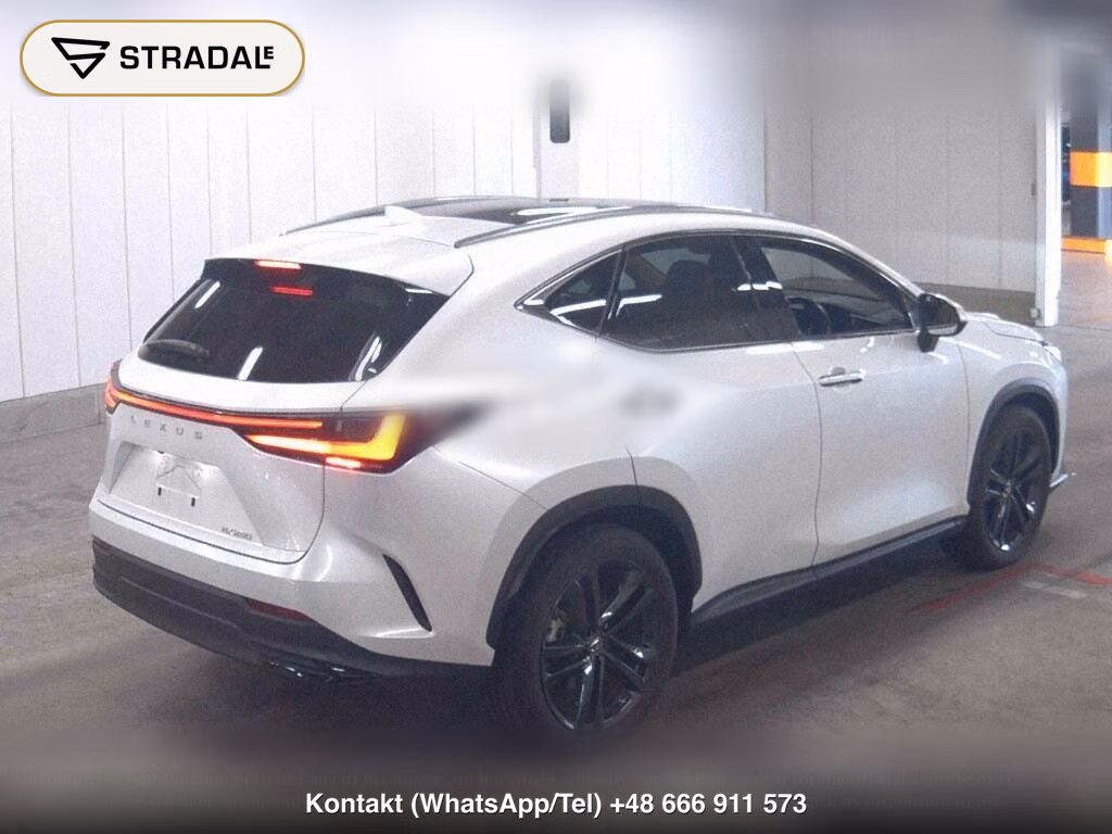 LEXUS NX NX250 VERSION L, miniaturka 6
