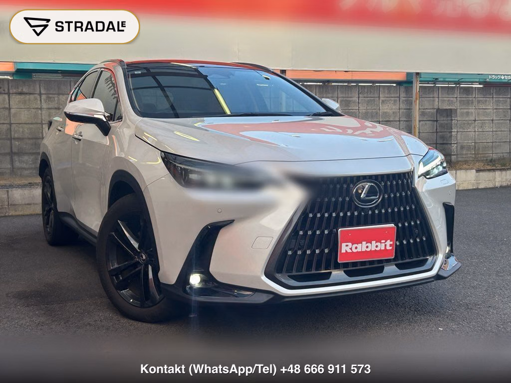 LEXUS NX NX250 VERSION L, miniaturka 10