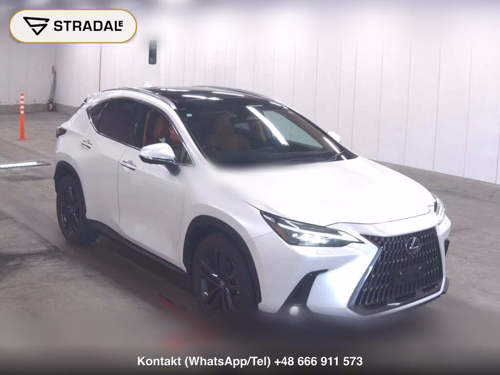 LEXUS NX NX250 VERSION L 2023, aukcja z Japonii, zdjęcie 1