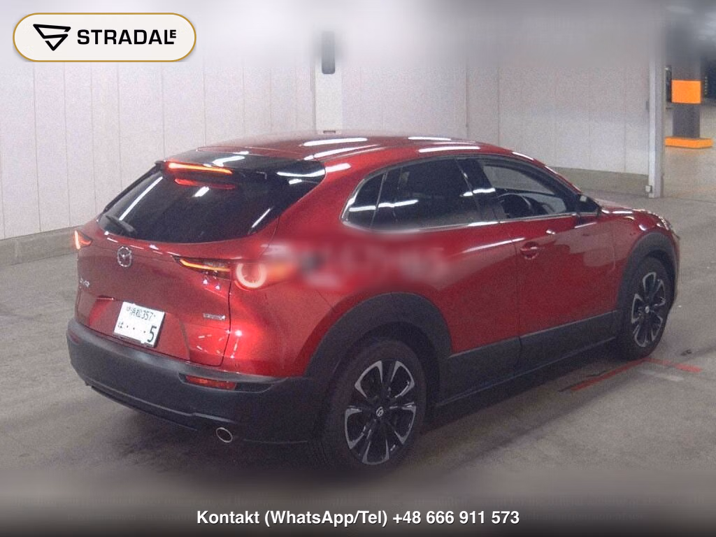 MAZDA CX-30 20S PROACTIVE TOURING SELECTION, miniaturka 6