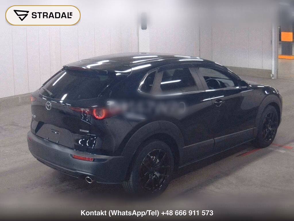 MAZDA CX-30 20S, miniaturka 6