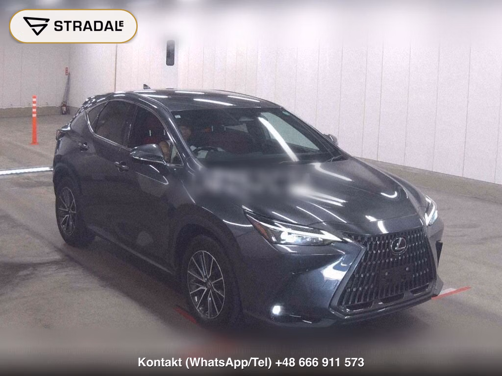 LEXUS NX NX250, miniaturka 2
