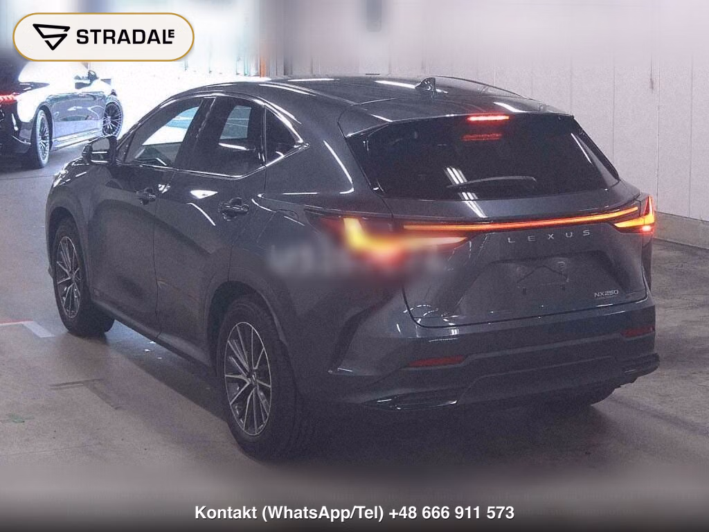 LEXUS NX NX250, miniaturka 3