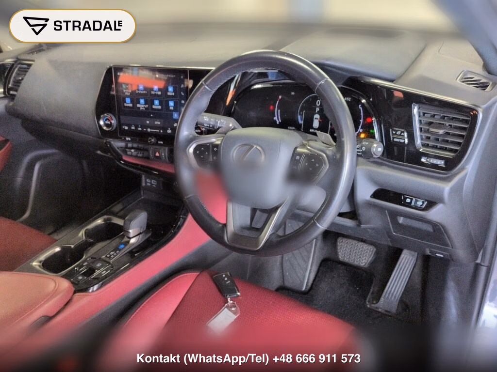 LEXUS NX NX250, miniaturka 4