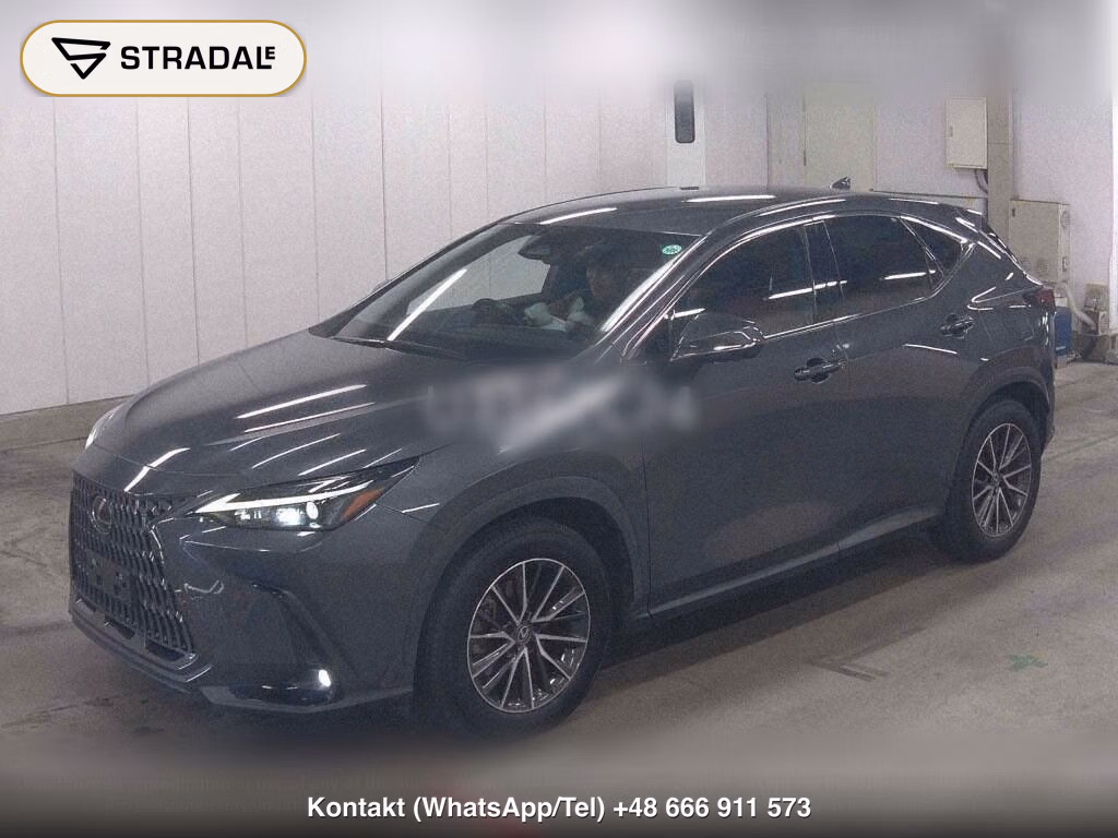 LEXUS NX NX250, miniaturka 5