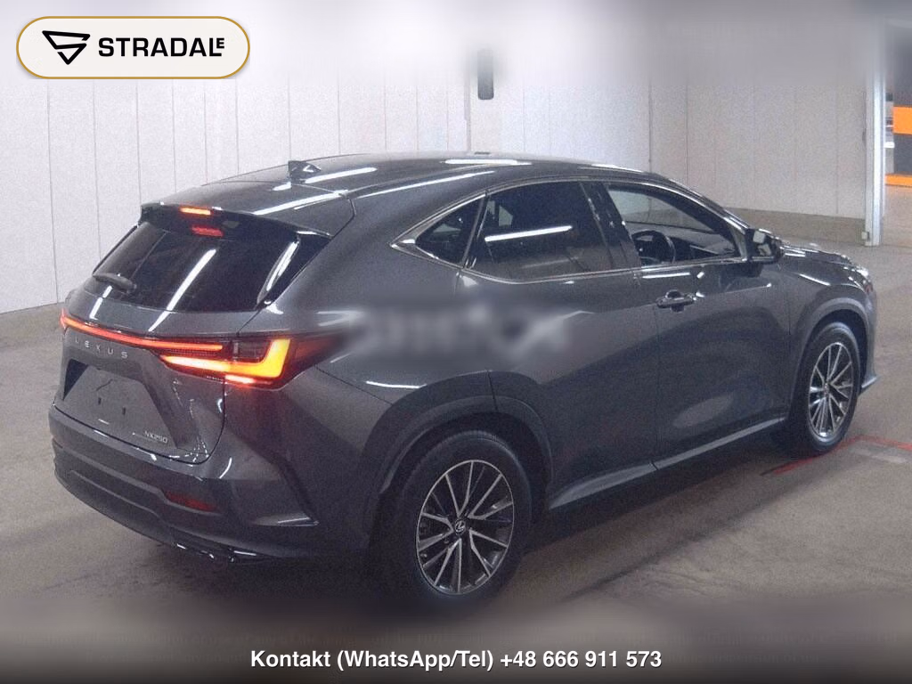 LEXUS NX NX250, miniaturka 6