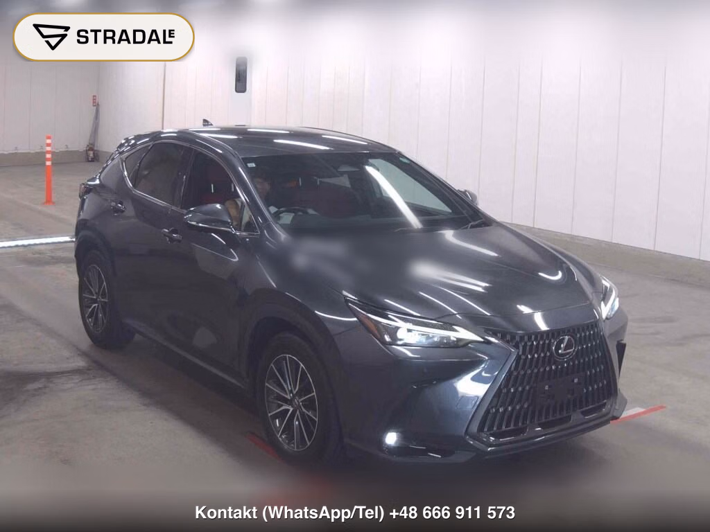 LEXUS NX NX250 2021, aukcja z Japonii, zdjęcie 1