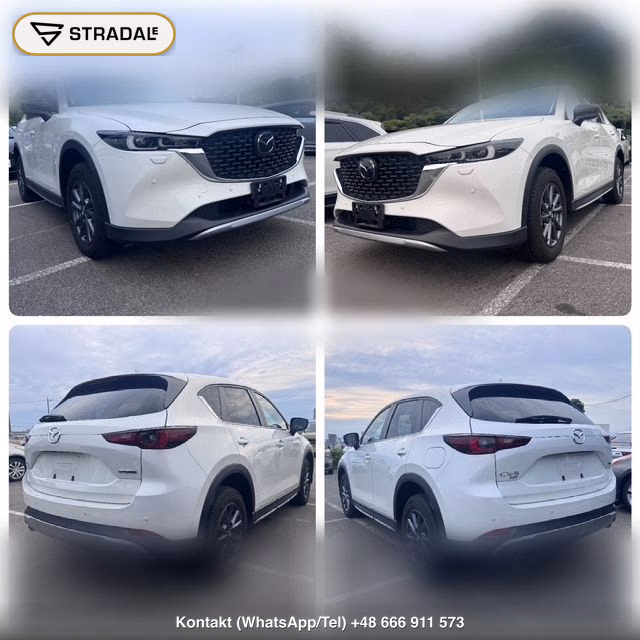 MAZDA CX-5 4WD 20S FIELD JOURNEY, miniaturka 10