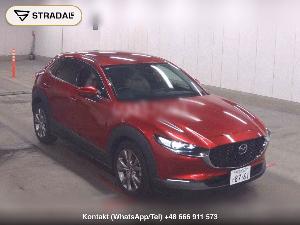 MAZDA CX-30 20S PROACTIVE TOURING SELECTION, miniaturka 2