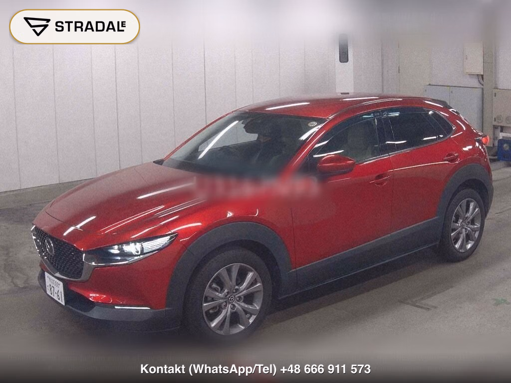 MAZDA CX-30 20S PROACTIVE TOURING SELECTION, miniaturka 5