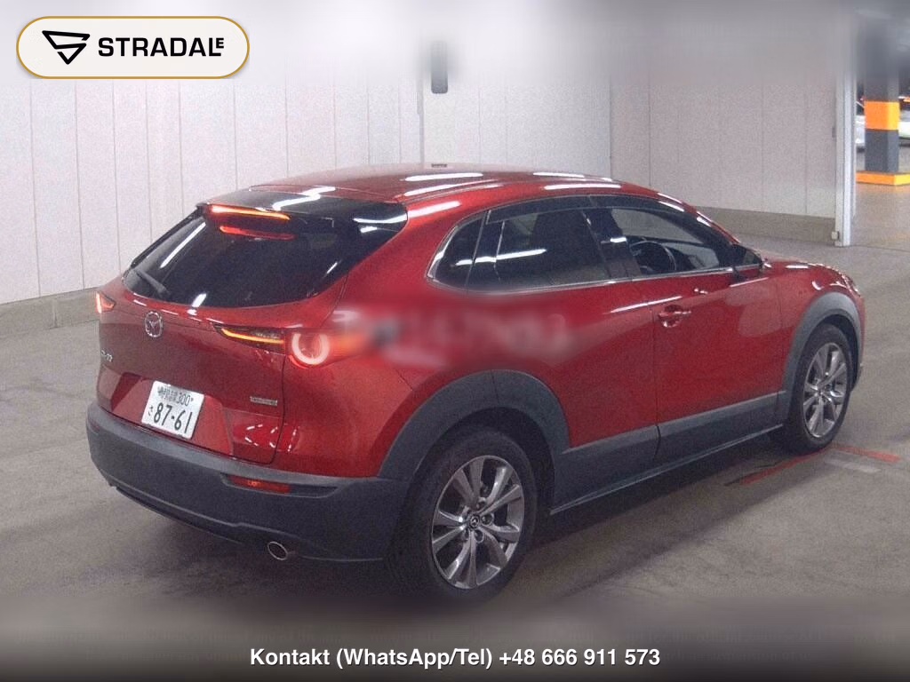 MAZDA CX-30 20S PROACTIVE TOURING SELECTION, miniaturka 6