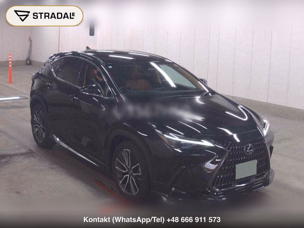 LEXUS NX NX250 VERSION L, miniaturka 2