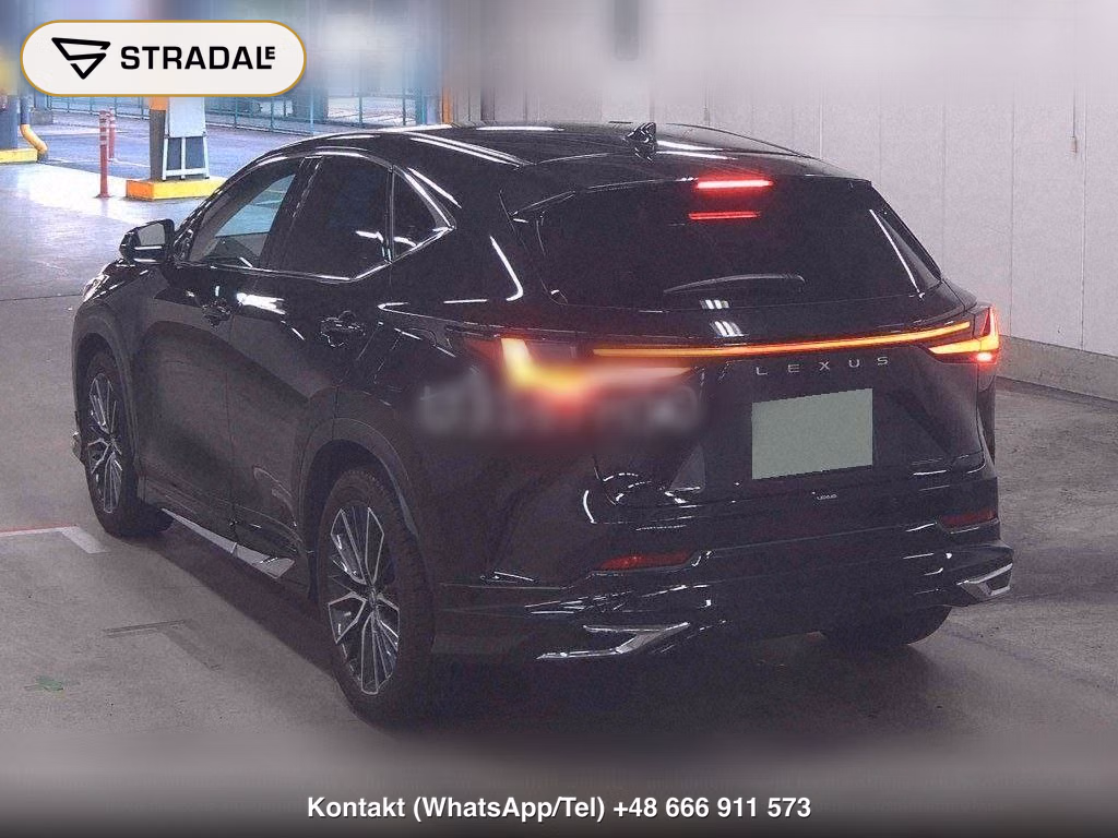 LEXUS NX NX250 VERSION L, miniaturka 3