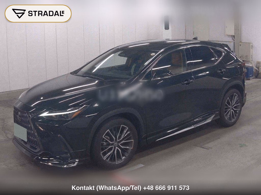 LEXUS NX NX250 VERSION L, miniaturka 5
