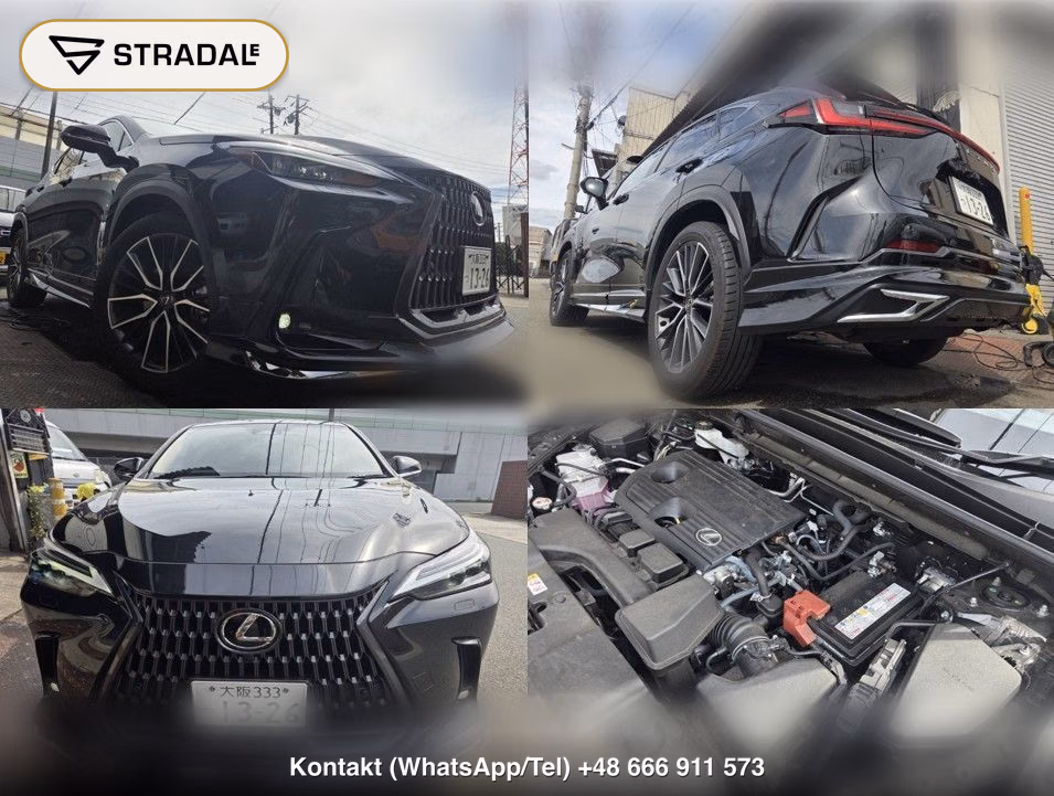 LEXUS NX NX250 VERSION L, miniaturka 10