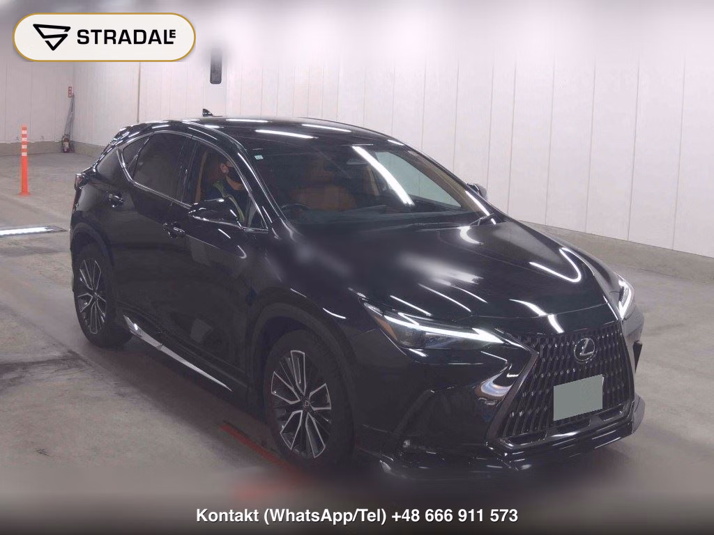 LEXUS NX NX250 VERSION L 2023, aukcja z Japonii, zdjęcie 1