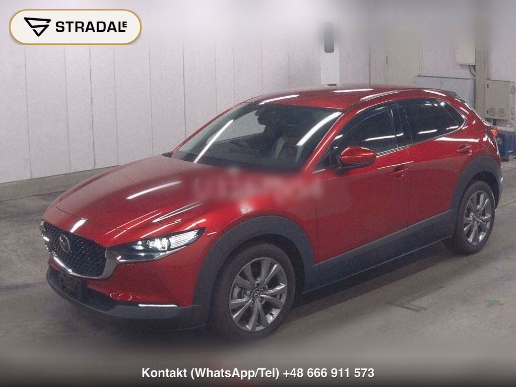 MAZDA CX-30 20S PROACTIVE TOURING SELECTION, miniaturka 5