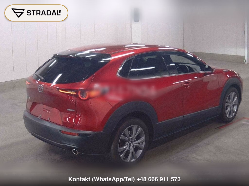 MAZDA CX-30 20S PROACTIVE TOURING SELECTION, miniaturka 6
