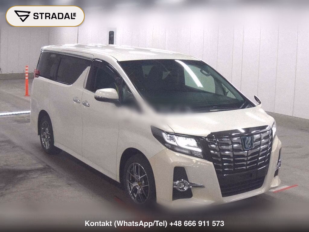TOYOTA ALPHARD HYBRID 4WD SR C PACKAGE, miniaturka 2