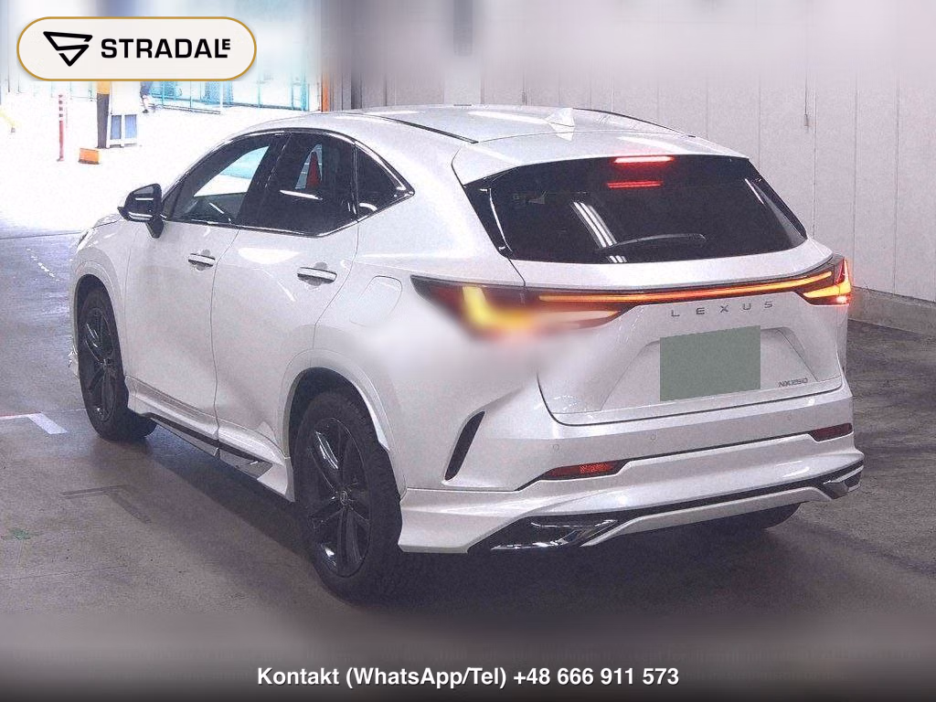 LEXUS NX NX250 VERSION L, miniaturka 3