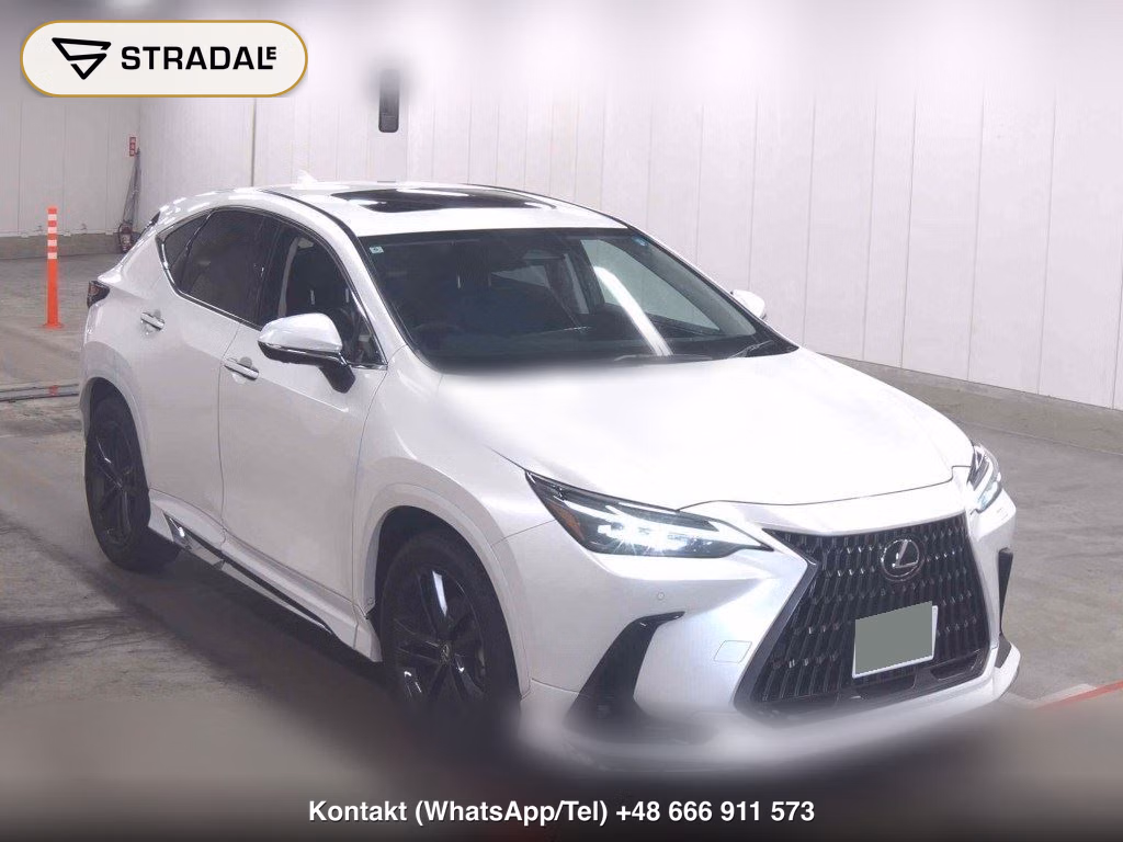 LEXUS NX NX250 VERSION L 2024, aukcja z Japonii, zdjęcie 1