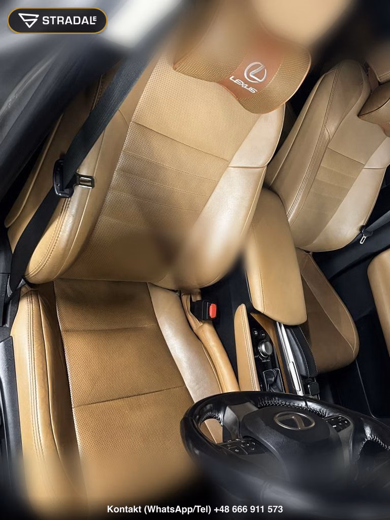 LEXUS GS GS300H I PACKAGE, miniaturka 11