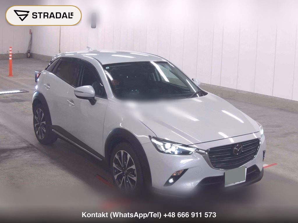 MAZDA CX-3 20S PROACTIVE S PACKAGE 2020, aukcja z Japonii, zdjęcie 1