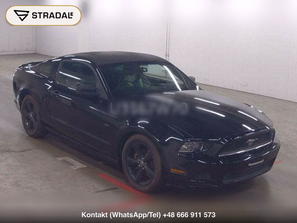 FORD MUSTANG CP OTHERS, miniaturka 2