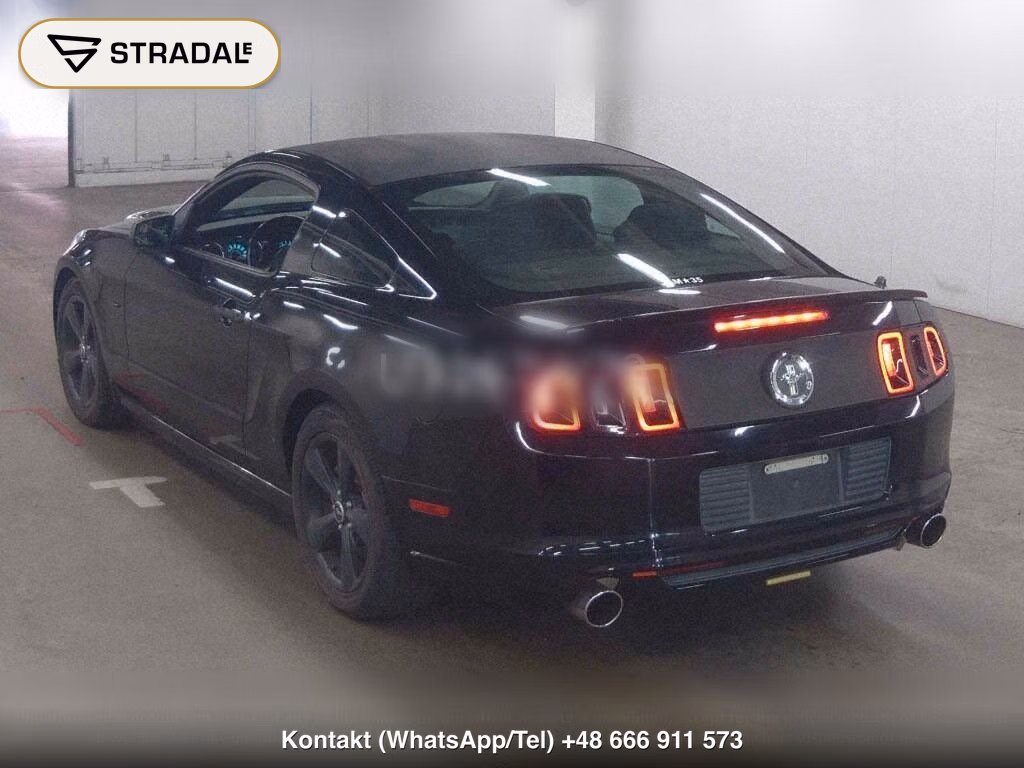 FORD MUSTANG CP OTHERS, miniaturka 3