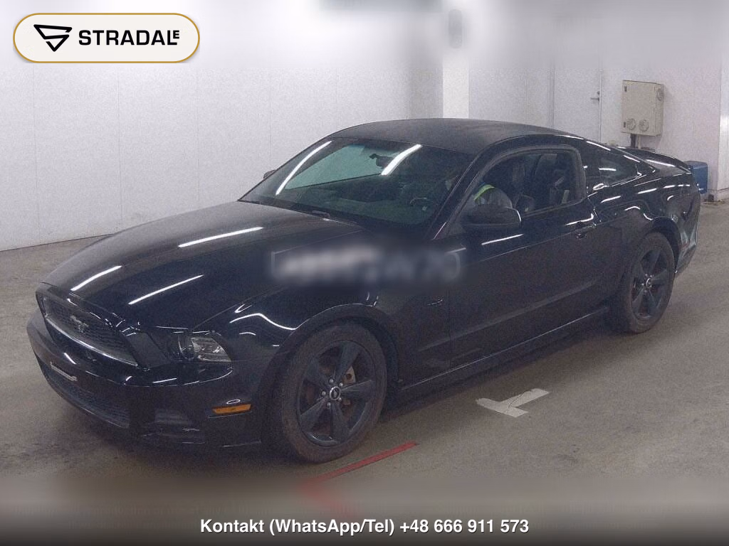 FORD MUSTANG CP OTHERS, miniaturka 5