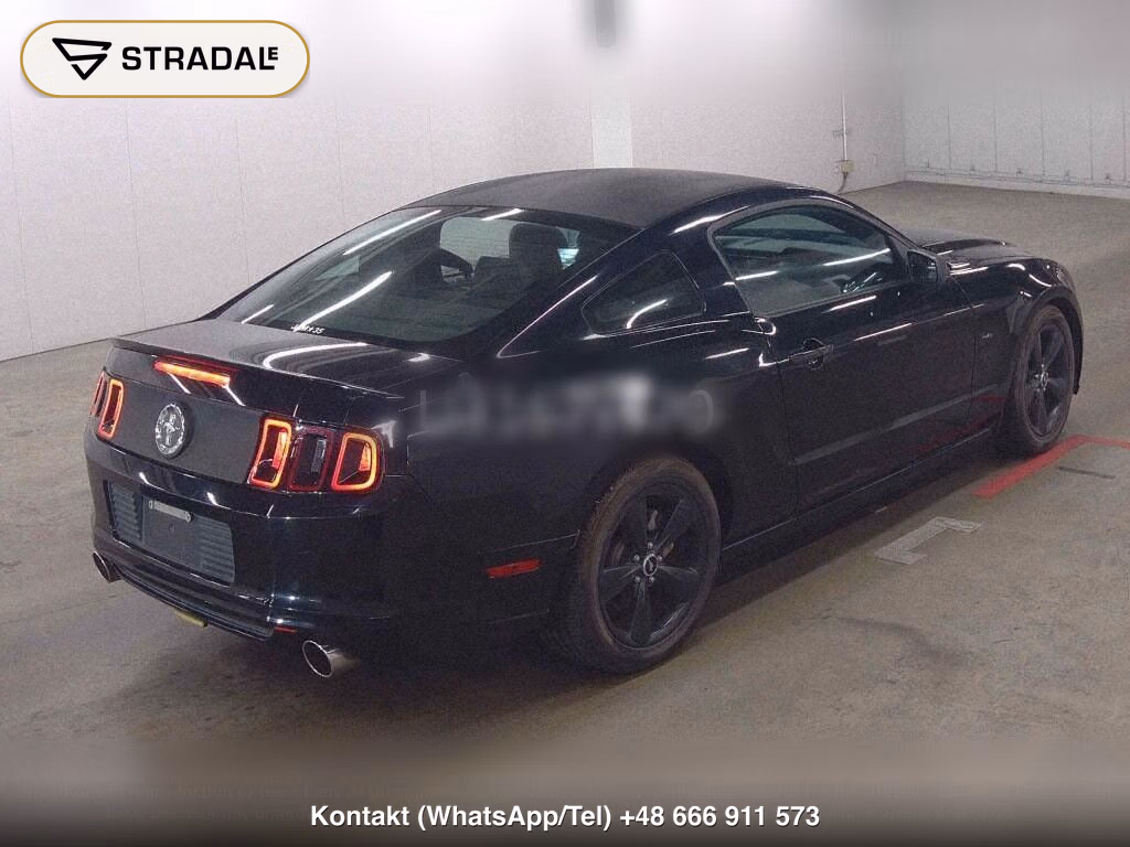 FORD MUSTANG CP OTHERS, miniaturka 6
