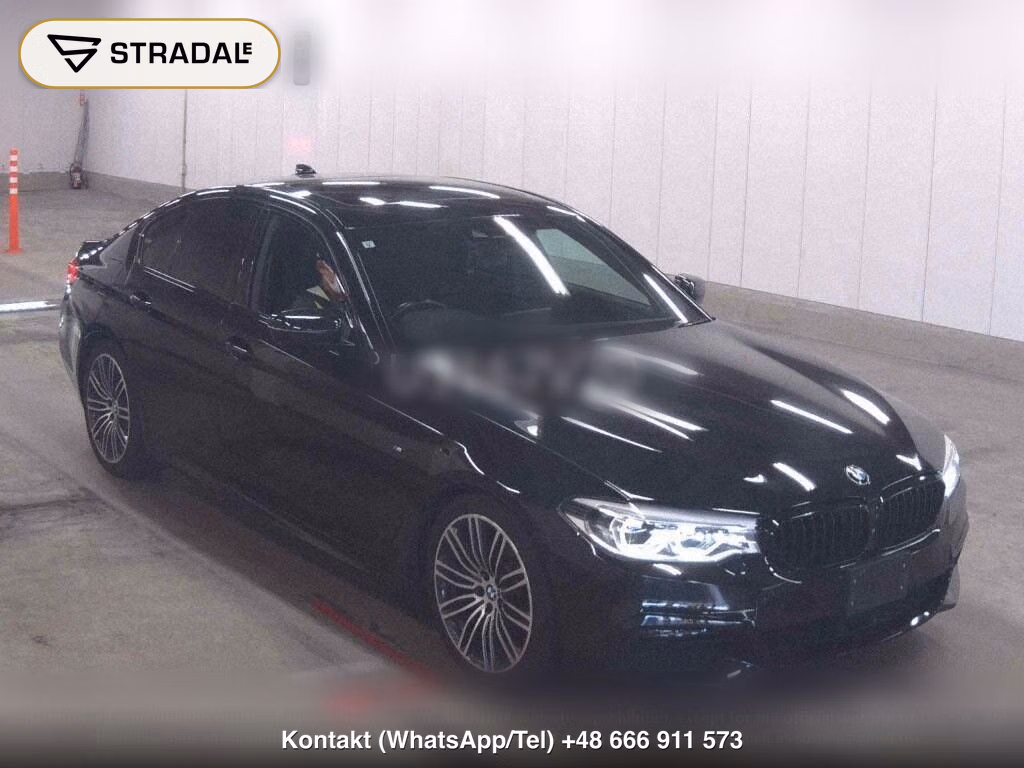 BMW 5 SERIES 4D 523D M-SPORT, miniaturka 2