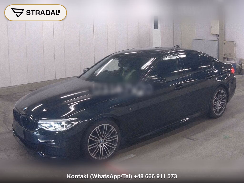 BMW 5 SERIES 4D 523D M-SPORT, miniaturka 5