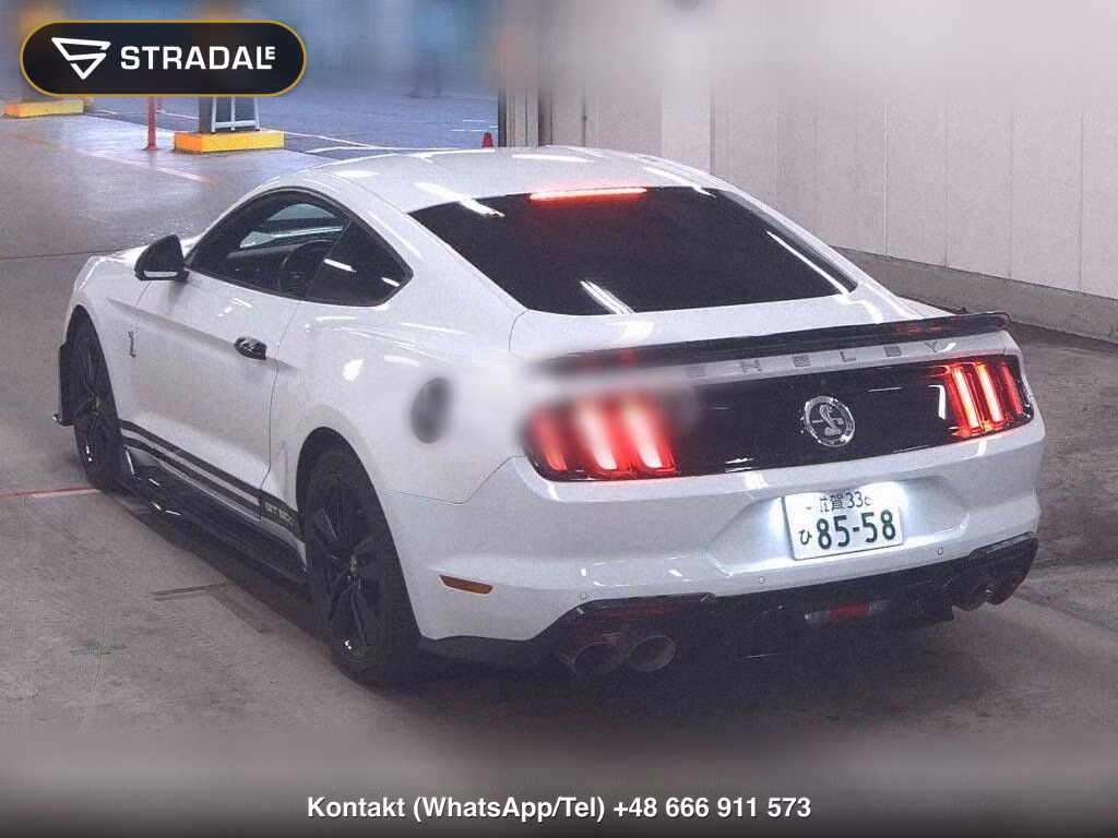FORD MUSTANG CP 50 YEARS EDITION, miniaturka 3