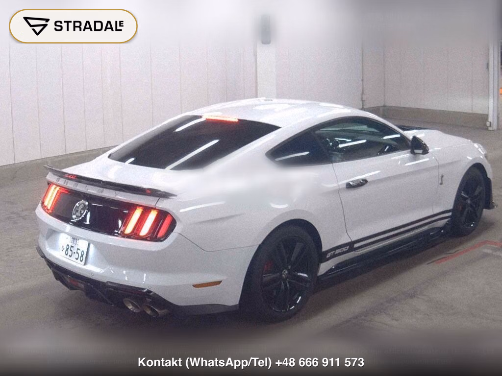 FORD MUSTANG CP 50 YEARS EDITION, miniaturka 6