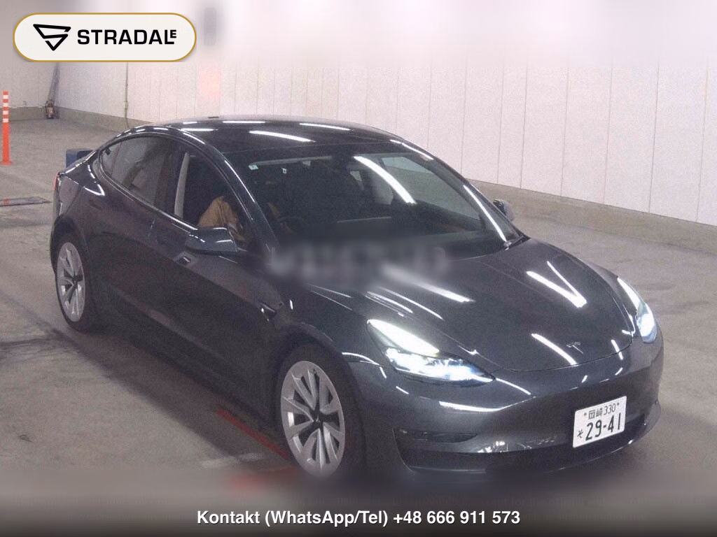 TESLA MODEL 3 4WD LONG RANGE, miniaturka 2
