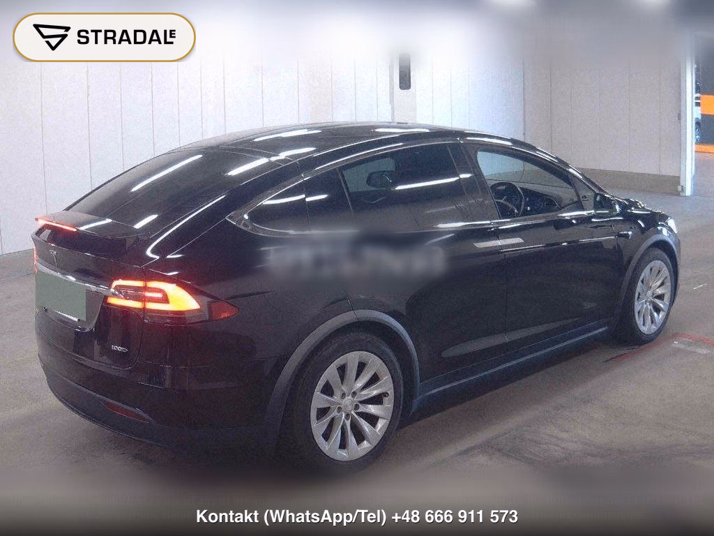 TESLA MODEL X 4WD 100D, miniaturka 6
