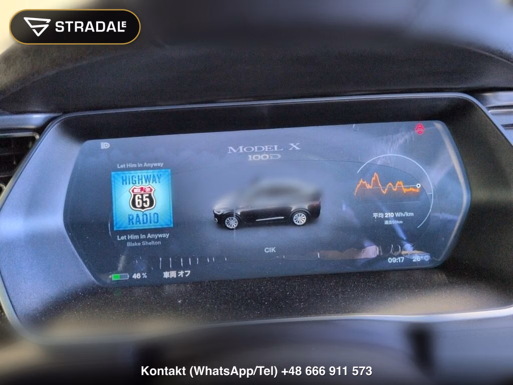 TESLA MODEL X 4WD 100D, miniaturka 7