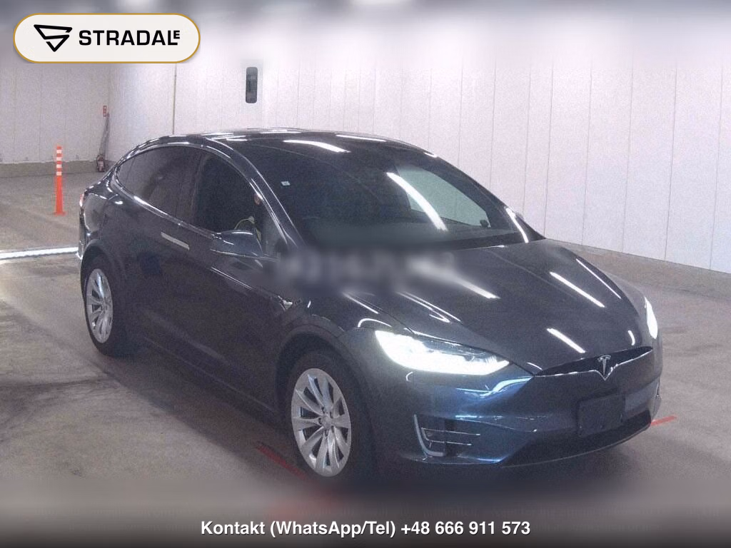 TESLA MODEL X 4WD OTHERS, miniaturka 2