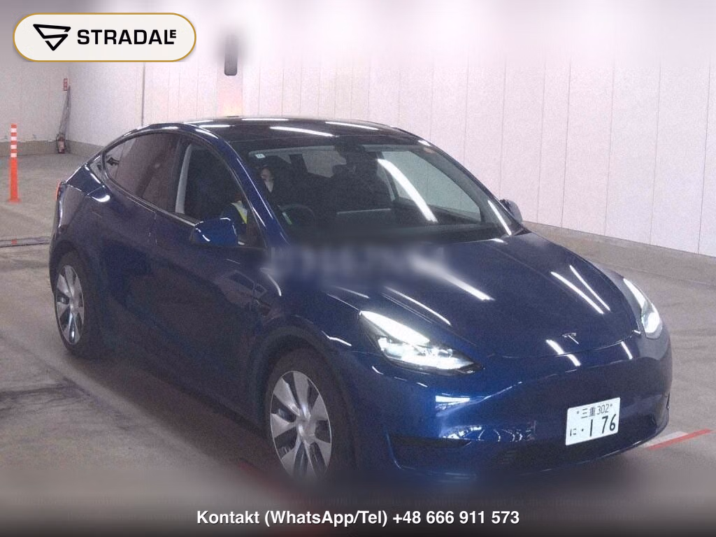TESLA MODEL Y RWD, miniaturka 2