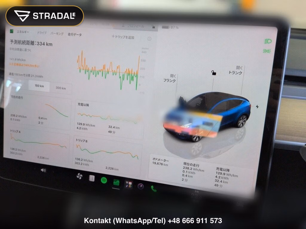 TESLA MODEL Y RWD, miniaturka 7