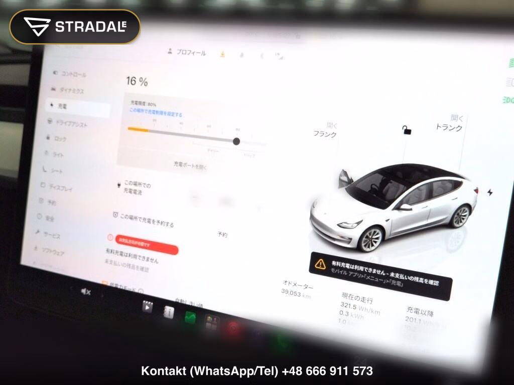 TESLA MODEL 3 4WD LONG RANGE, miniaturka 6
