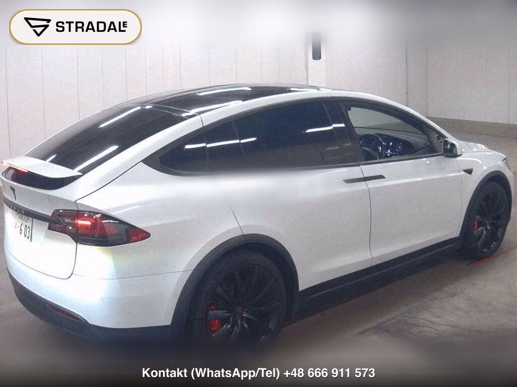TESLA MODEL X 4WD OTHERS, miniaturka 6