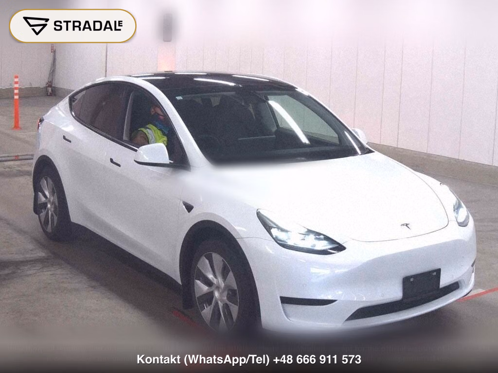 TESLA MODEL Y RWD, miniaturka 2